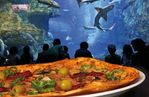Menú en La Piazzetta de Gros + entrada al Aquarium